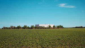 Carrascas: Una bodega que utiliza variedades internacionales para elaborar vinos con vocación internacional