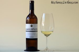 Gallipato 2021