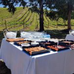 Inauguración de Bodegas Emilio Moro en el Bierzo. Picnic en el viñedo.