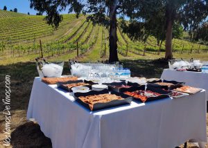 Inauguración de Bodegas Emilio Moro en el Bierzo. Picnic en el viñedo.