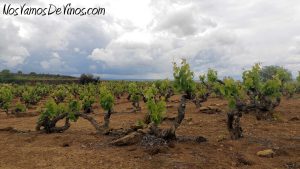 Ruta del Vino Rioja Alta. Bodegas Tarón. Enoturismo. Ruta. Viña El Monte.