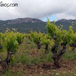 Ruta del Vino Rioja Alta. Bodegas Tarón. Enoturismo. Ruta. Viña Finca Zabaleta.