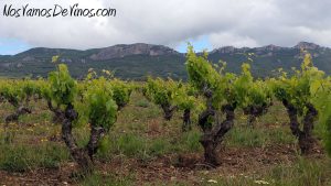Ruta del Vino Rioja Alta. Bodegas Tarón. Enoturismo. Ruta. Viña Finca Zabaleta.