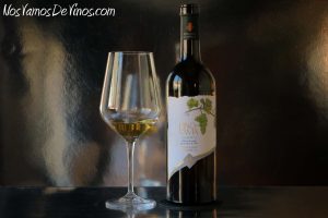 Fino en Rama Fernando de Castilla Saca Primavera 2024.