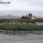 Visita a Vivanco. El Jardín de Baco.