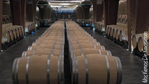 Visita a Vivanco. Sala de crianza del primer año.