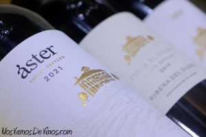Áster. Ribera del Duero clásica y moderna en una misma bodega