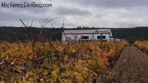 Marqués de Cáceres. Espacio Ágora