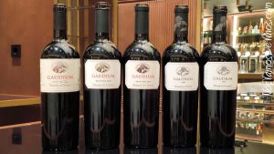 Cata vertical de Gaudium