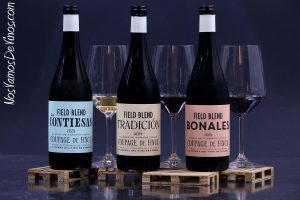 Viñas del Cénit. Vinos Field Blend. Tierra del Vino de Zamora.