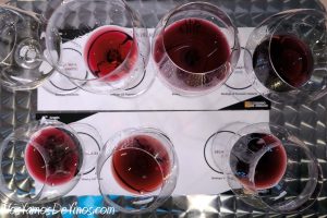 Siete Garnachas de Aragón en Madrid Fusión, The Wine Edition. Copas Riedel