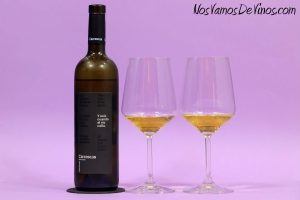 Y solo cuando el río calla Chardonnay 2021, bodegas Carrascas.
