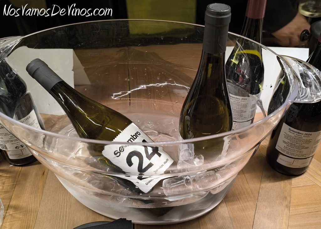 Presentaciío de la añada 2024 de la DO Monterrei. Botellas.