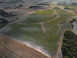Bodegas RODA lidera la revolución sostenible del viñedo con su sistema keyline