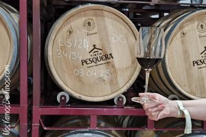 El Día V. Tinto Pesquera