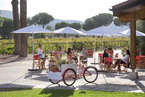Enoturismo en Finca Villacreces