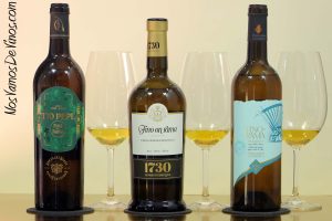 Tío Pepe, Álvaro Domecq y Fernando de Castilla nos desvelan los secretos del fino en rama.