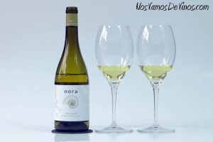 Nora 2023: Un Albariño perfecto para cualquier ocasión