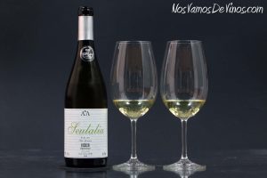 Seulalia Godello 2023: Un desconcertante monovarietal de la uva de moda de El Bierzo.