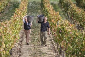 Ruta Vino Rioja Alta.