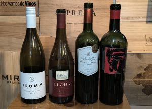 Presentación de Vinm vinosdelmundo.com.
