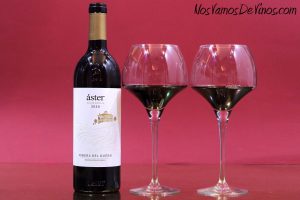 Áster Crianza 2020: Un vino versátil y equilibrado capaz de defenderse en cualquier escenario
