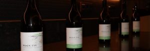 Familia Torres introduce la botella reutilizable en los Países Bajos con su nuevo vino Magnetic
