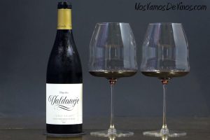 Pago de Valdoneje Viñas Viejas Mencía 2018: Un vino parcelario que nos habla del viñedo de El Bierzo