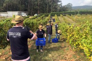 Actividades Ruta del Vino Rías Baixas