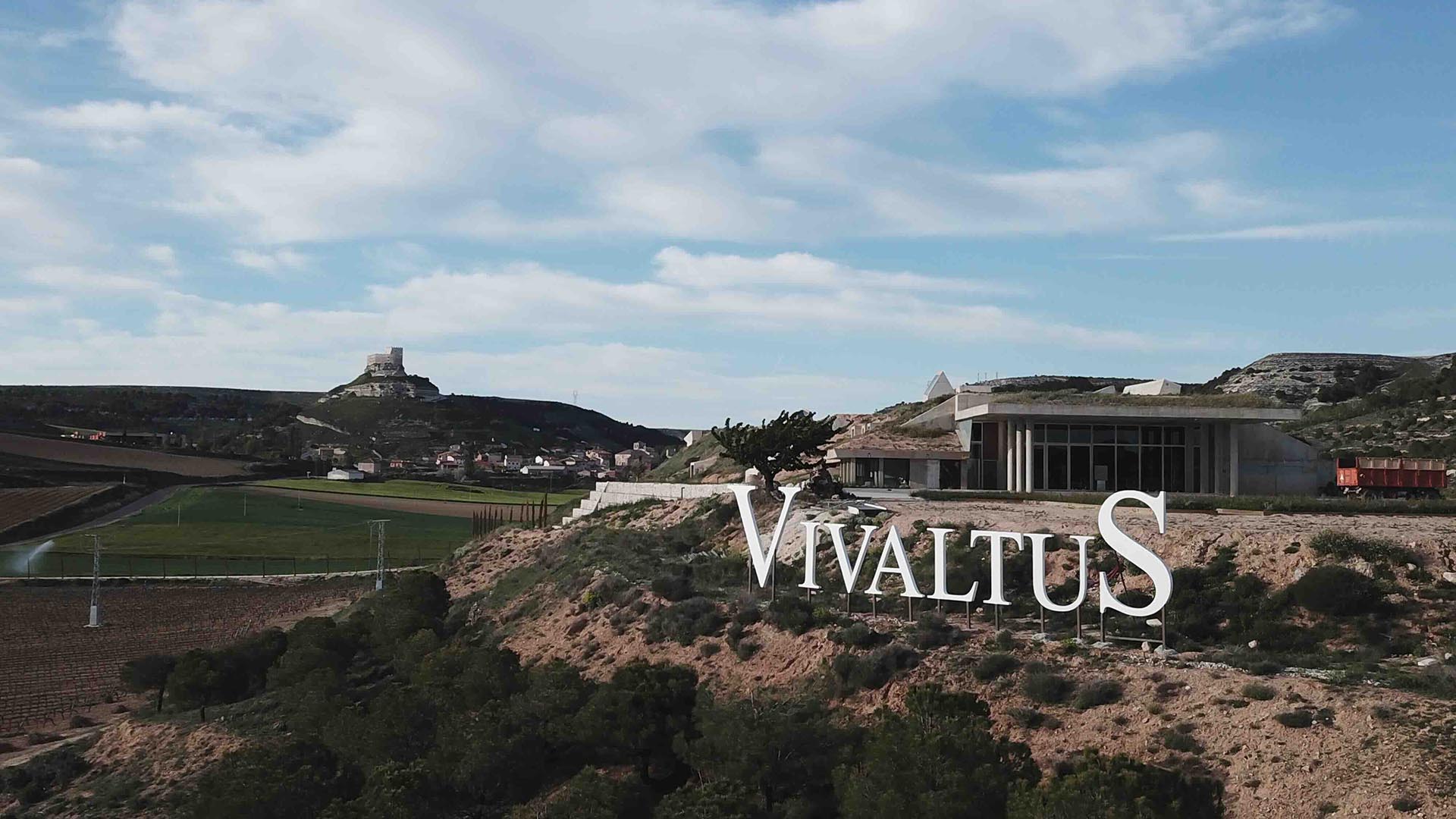 Bodegas Vivaltus.