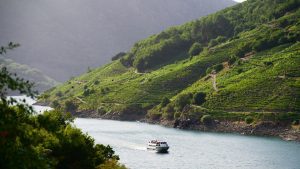 Viñedos Ribeira Sacra