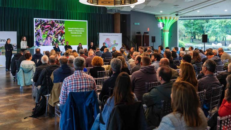 Ribeiro convoca a toda Galicia para atajar dos enfermedades que pueden cambiar el mapa del viñedo