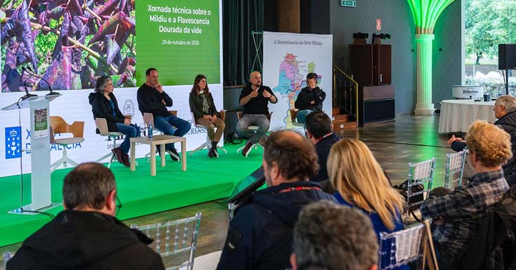 Ribeiro convoca a toda Galicia para atajar dos enfermedades que pueden cambiar el mapa del viñedo