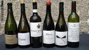 IWC Industry Awards. Botellas.