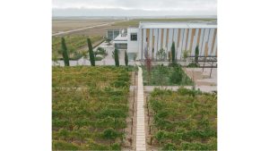 Bodegas José Pariente convierte su entorno en laboratorio vivo de regeneración ecológica