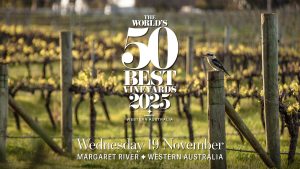 Ocho bodegas españolas, entre las 50 mejores del mundo, según The World’s 50 Best Vineyards 2025