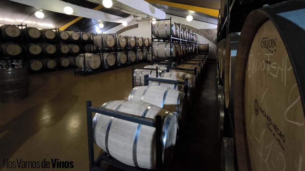 Viajamos al futuro con Finca Río Negro a través de los vinos que son… y de los que serán. Sala de barricas