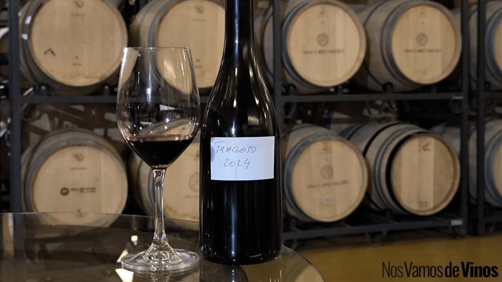 Viajamos al futuro con Finca Río Negro a través de los vinos que son… y de los que serán. Tinto Fragoso