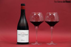 Las Pizarras Viña Castejón 2023.