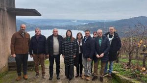 Galicia destina 5,5 millones a modernizar bodegas y reforzar la competitividad del vino gallego