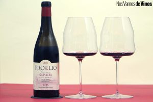 Proelio Viñedos Viejos de Garnacha 2023: Una historia líquida escrita entre los bosques y valles del Alto Najerilla.