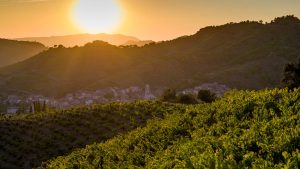 Paisaje del Priorat.