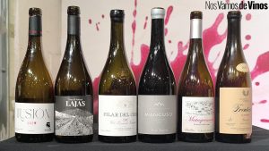 Cata Aragón Escondido en Madrid Fusión. Botellas.