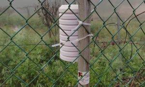Tacoronte-Acentejo mapea el frío efectivo para anticiparse al cambio climático.