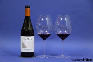 Garnacha Alta 2023: La apuesta de Borsao por el vino ecológico