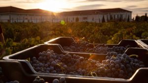 El Grupo Marqués del Atrio certifica la sostenibilidad de sus cuatro bodegas con el sello SWfCP