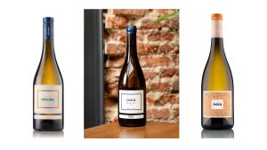 Bodegas Naia coloca tres vinos en el Top 100 Rueda 2026 de Tim Atkin