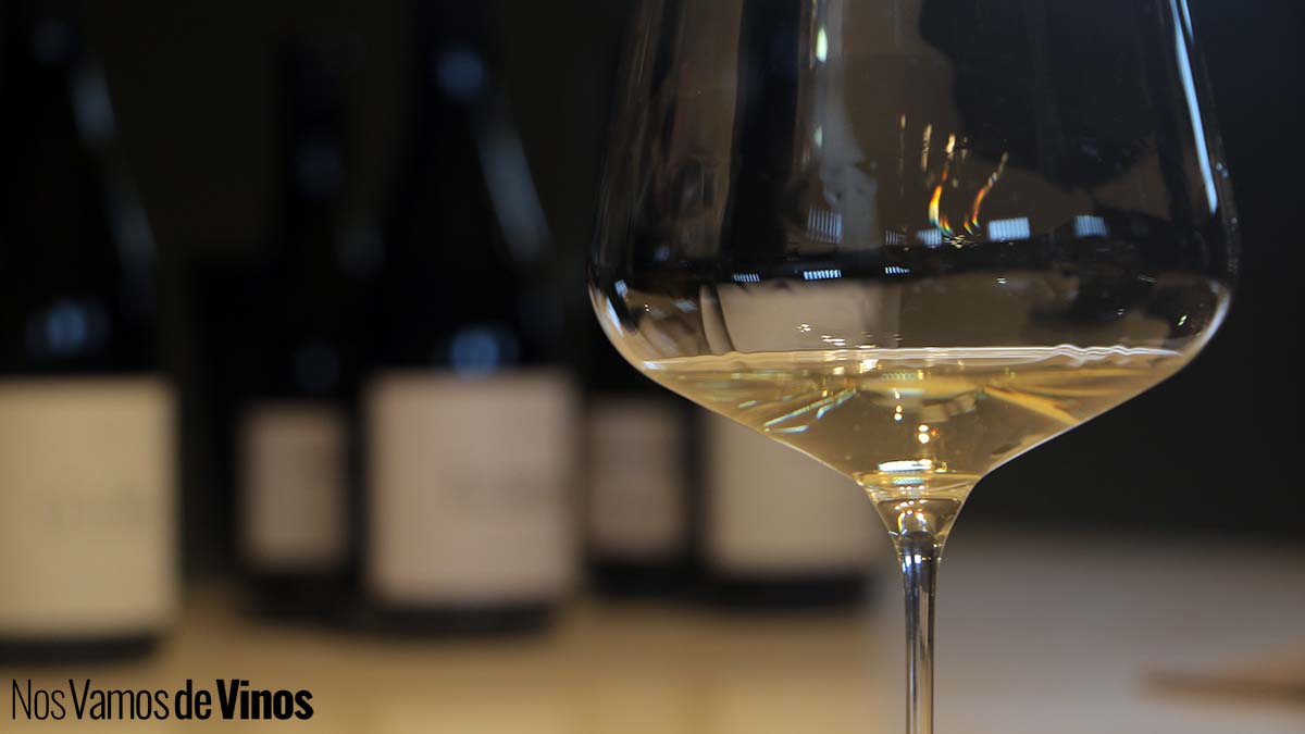 Rafael Palacios: La incansable búsqueda del gran vino blanco.
