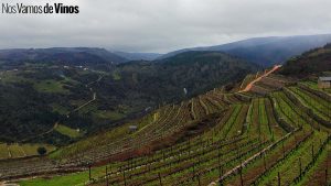 Rafael Palacios: La incansable búsqueda del gran vino blanco. Viña Valdauga