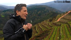 Rafael Palacios: La incansable búsqueda del gran vino blanco. Viña Valdauga